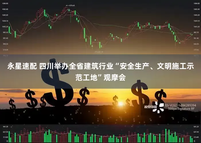 永星速配 四川举办全省建筑行业“安全生产、文明施工示范工地”观摩会