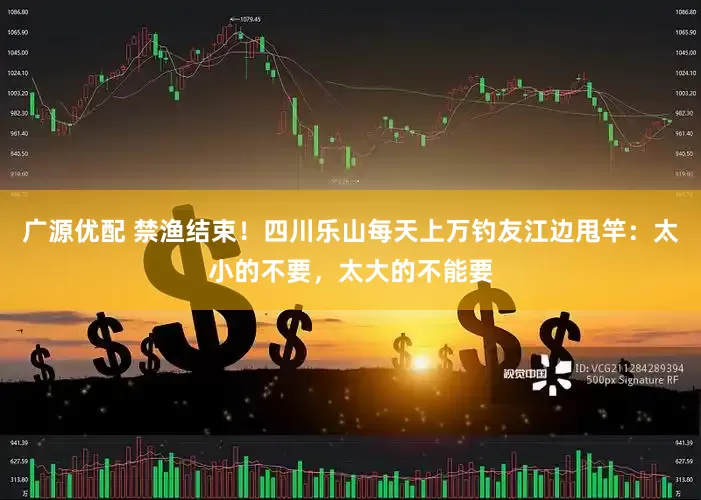 广源优配 禁渔结束！四川乐山每天上万钓友江边甩竿：太小的不要，太大的不能要