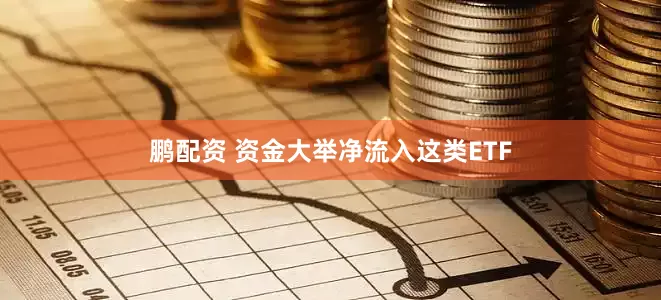 鹏配资 资金大举净流入这类ETF