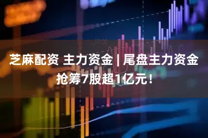 芝麻配资 主力资金 | 尾盘主力资金抢筹7股超1亿元！