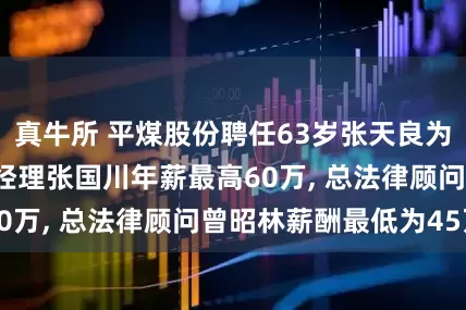 真牛所 平煤股份聘任63岁张天良为非独立董事, 总经理张国川年薪最高60万, 总法律顾问曾昭林薪酬最低为45万